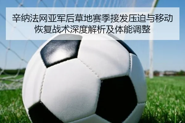 辛纳法网亚军后草地赛季接发压迫与移动恢复战术深度解析及体能调整