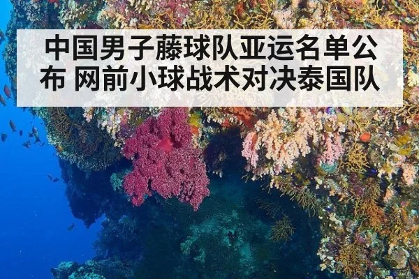 中国男子藤球队亚运名单公布 网前小球战术对决泰国队