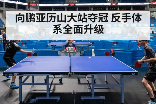table tennis player championship