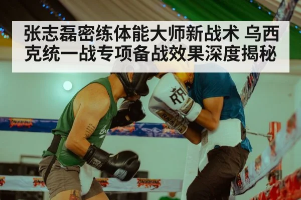 张志磊密练体能大师新战术 乌西克统一战专项备战效果深度揭秘